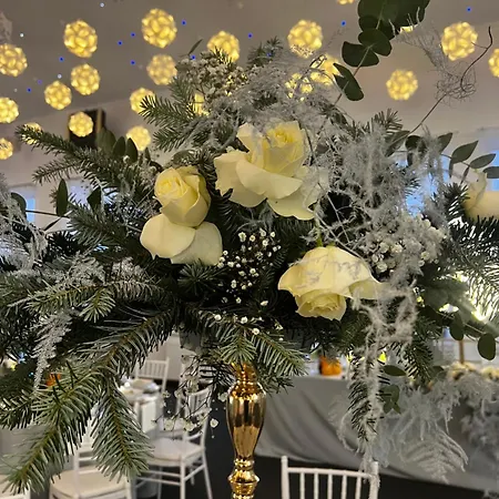 Platinium House Ex Royal House